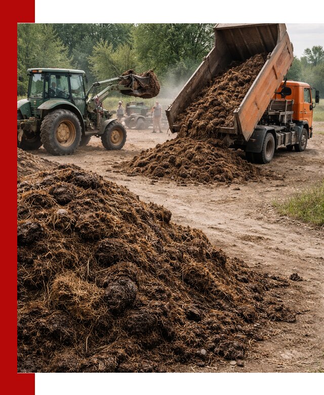 Доставка навоза самосвалами в Братске для сельхозпотребностей